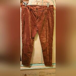 American Eagle Outfitters Chestnut Golden Brown Velvet Jeggings Sz 14 Stretchy